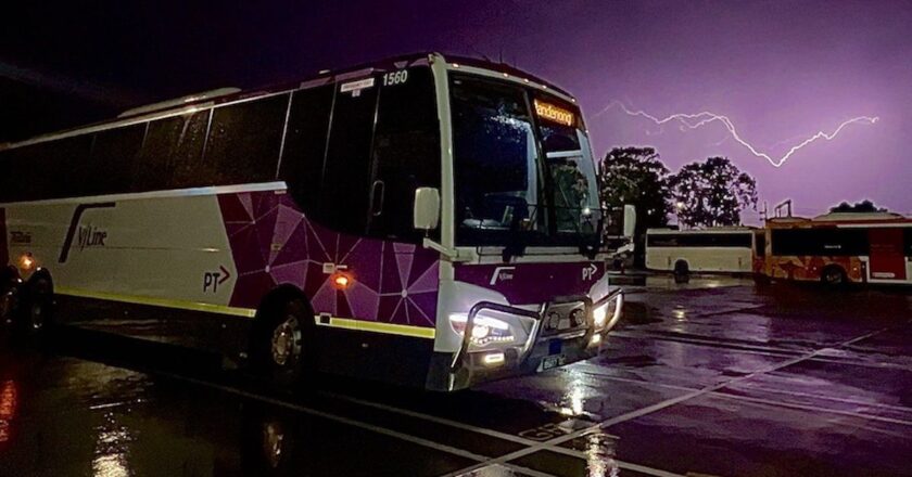 best bus november